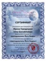 Сертификат сотрудника Городецкая И.Л.